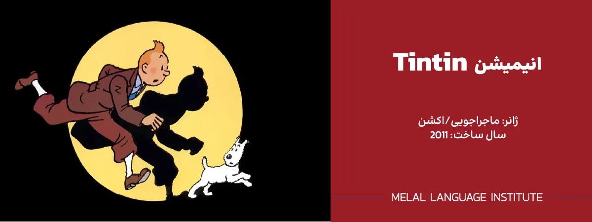 انیمیشن Les Aventures de Tintin