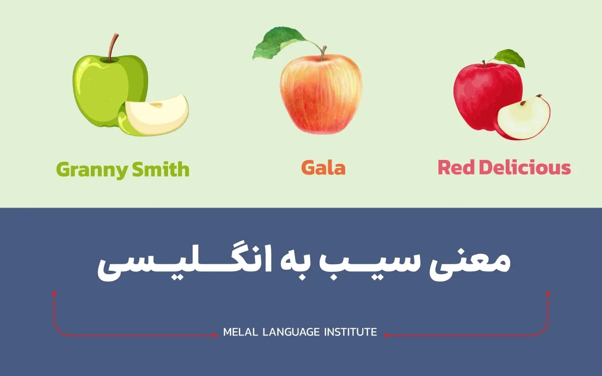 سیب به انگلیسی