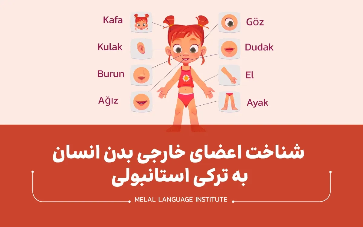اعضای خارجی بدن انسان به ترکی استانبولی