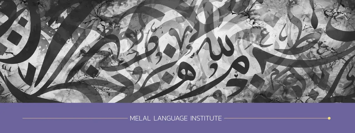 کاملترین زبان دنیا